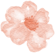 918fd423a4c32be871af9dd0f553795e.png