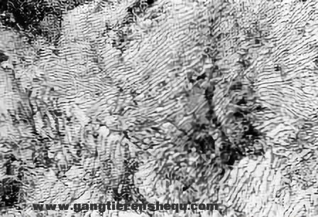 a9622236e2cf3b11684843b10d71979c.jpg