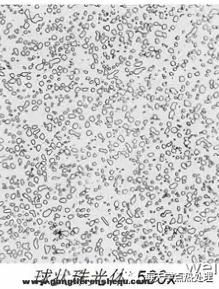 d68665f89e647e3a3217d3f10aea9237.jpg